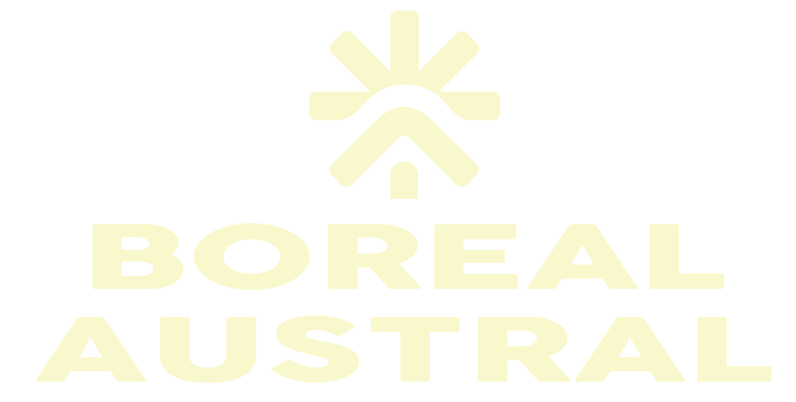 Boreal Austral logo