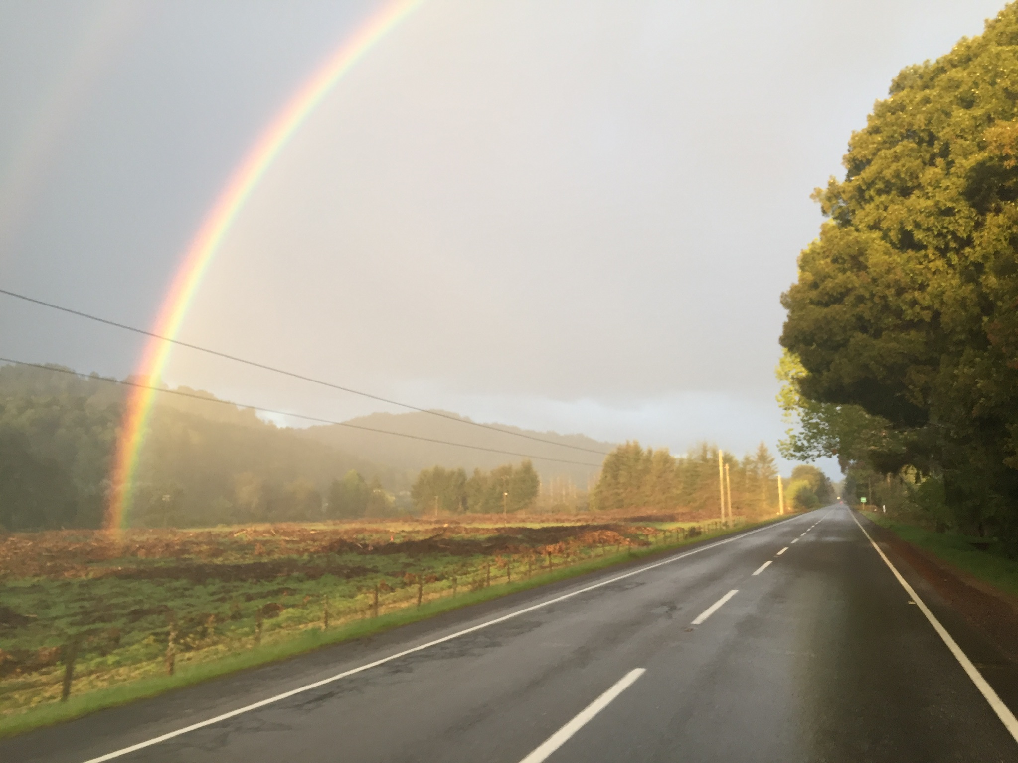 Arcoiris decorando el camino tras una lluvia repentina